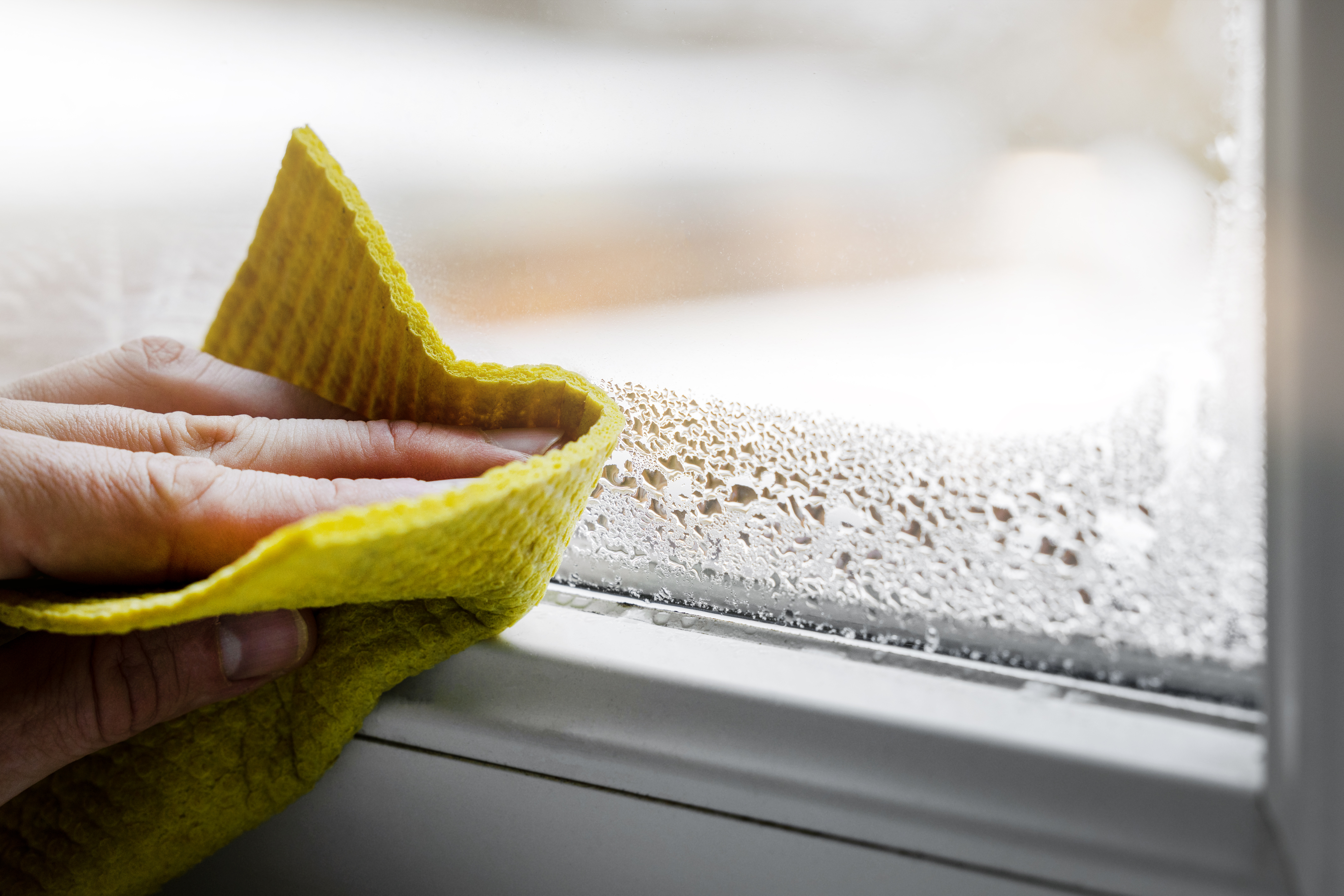 A hand wiping a windowsill with a paper towel.