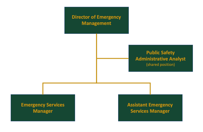 Emergency Response Team Organizational Chart