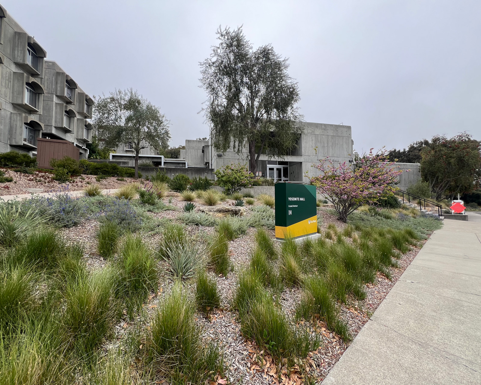 Campus Landscape rendering