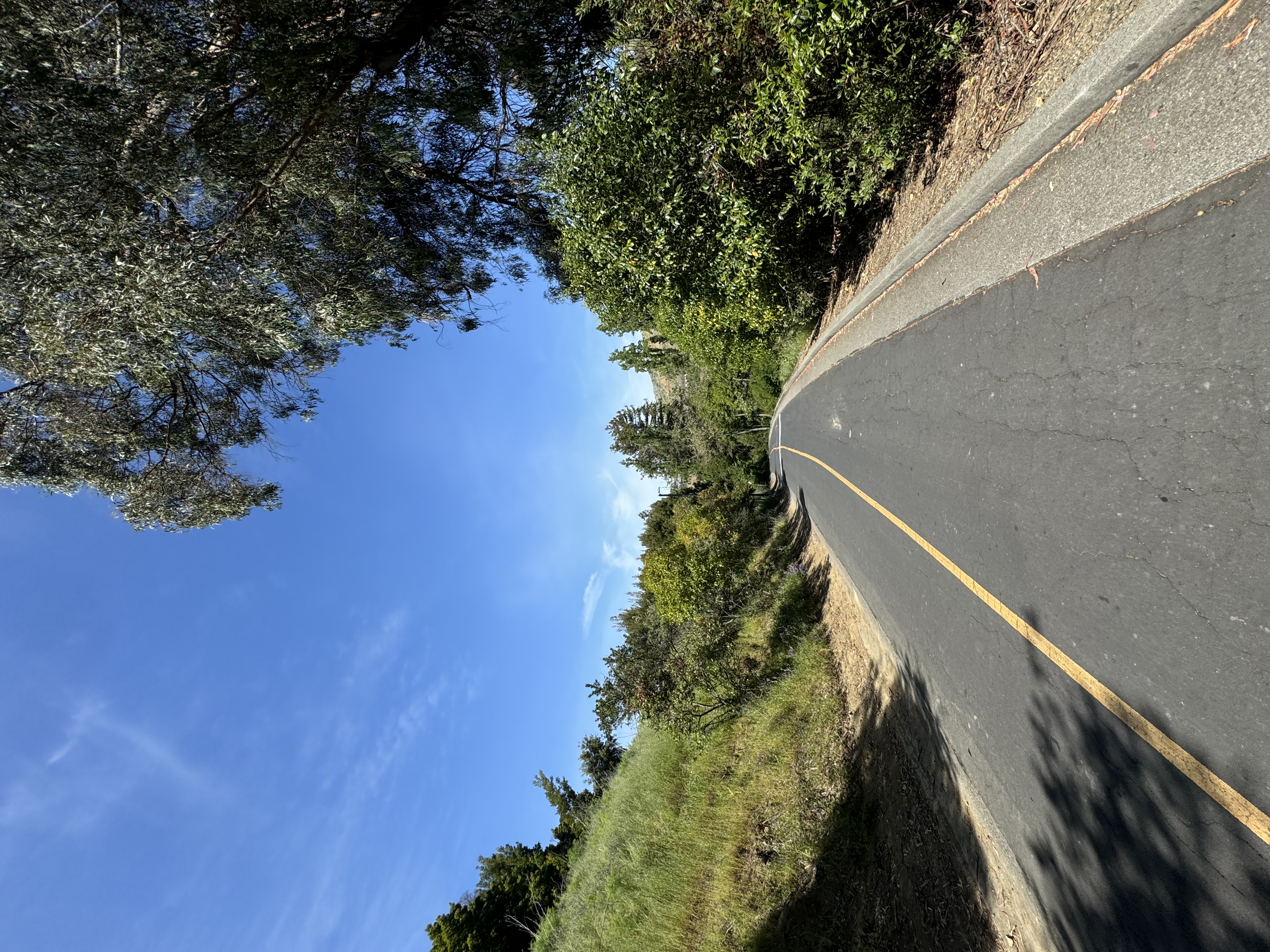 Residence Hall Road