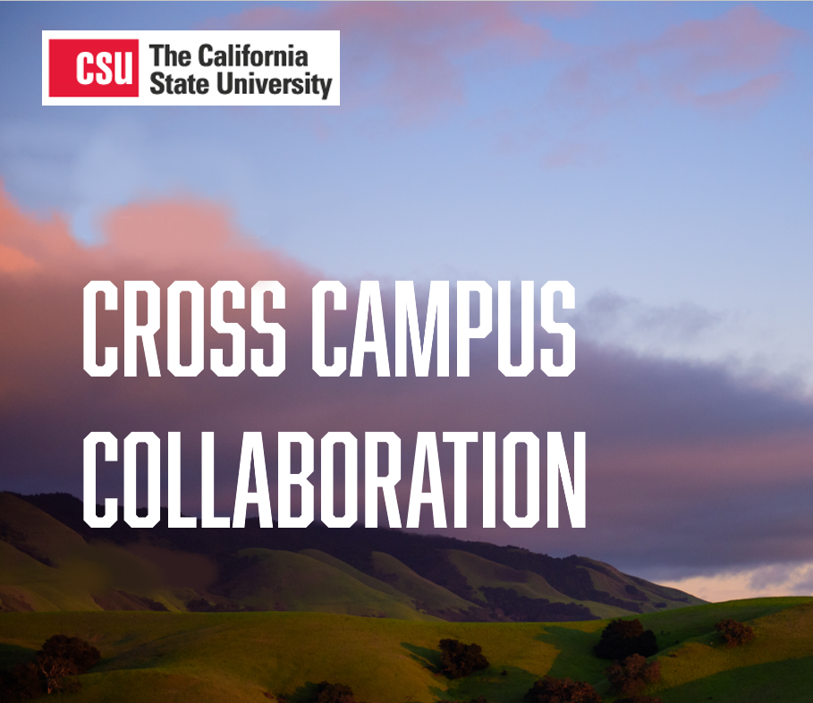 Sustainability in the CSU: 101
