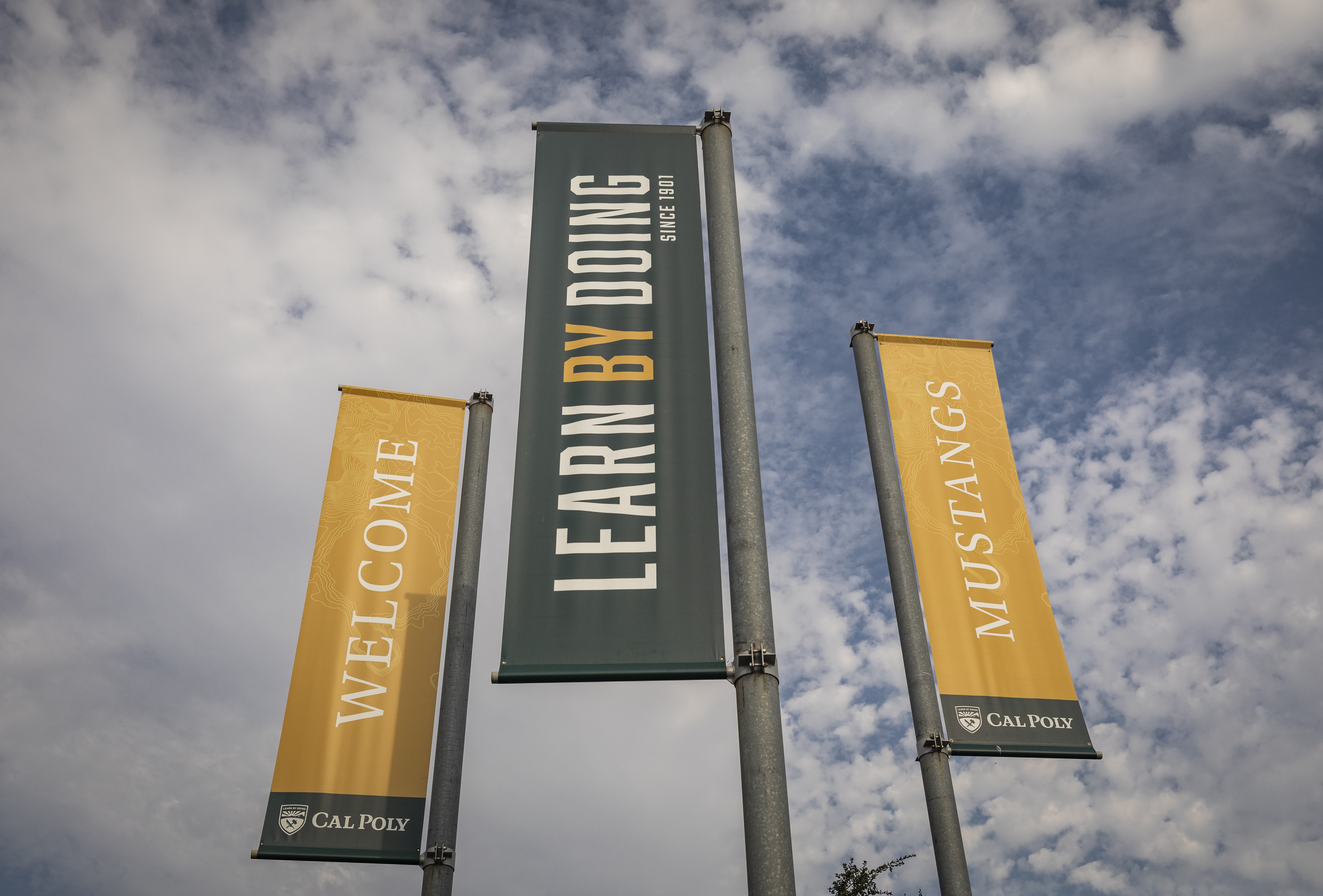 Three Cal Poly flags displaying Welcome Cal Poly Mustangs