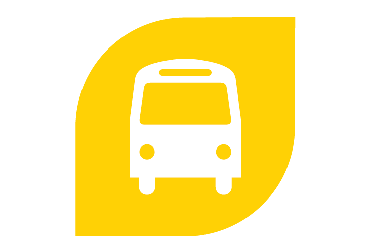 mustang express icon