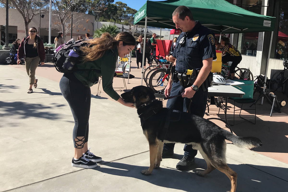 Cal Poly K9 Dogs