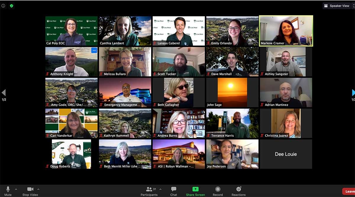 Screenshot of a zoom meeting with 31 attendees